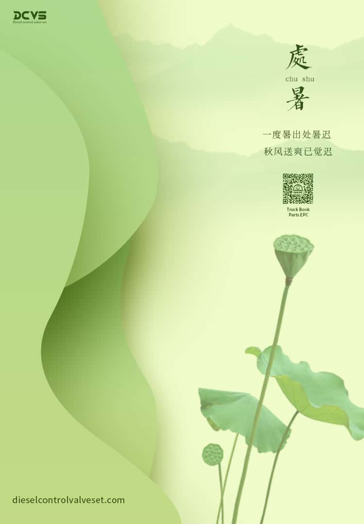 F00VC01013 Injector Valve Sets