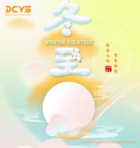 F00VC01346 Injector Valve Set Promotion on Winter Solstice