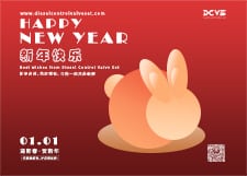 diesel-control-valve-new-year-cover